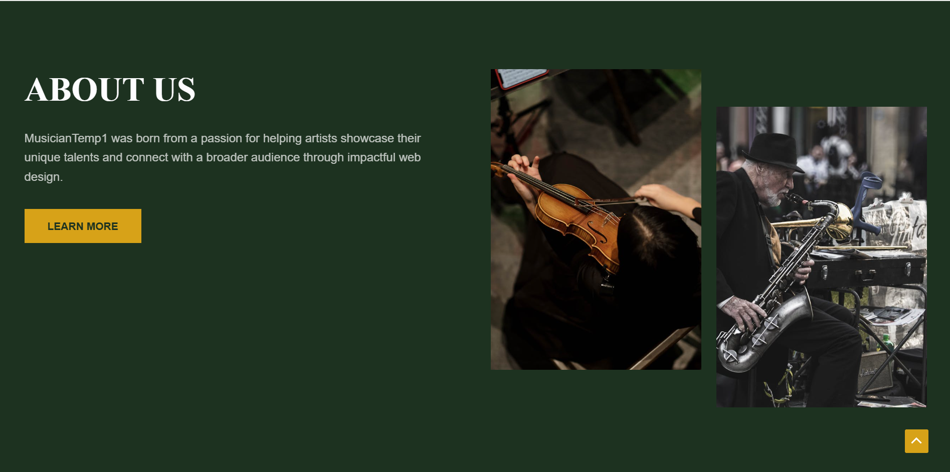 MusicianTemp1 - Image 3