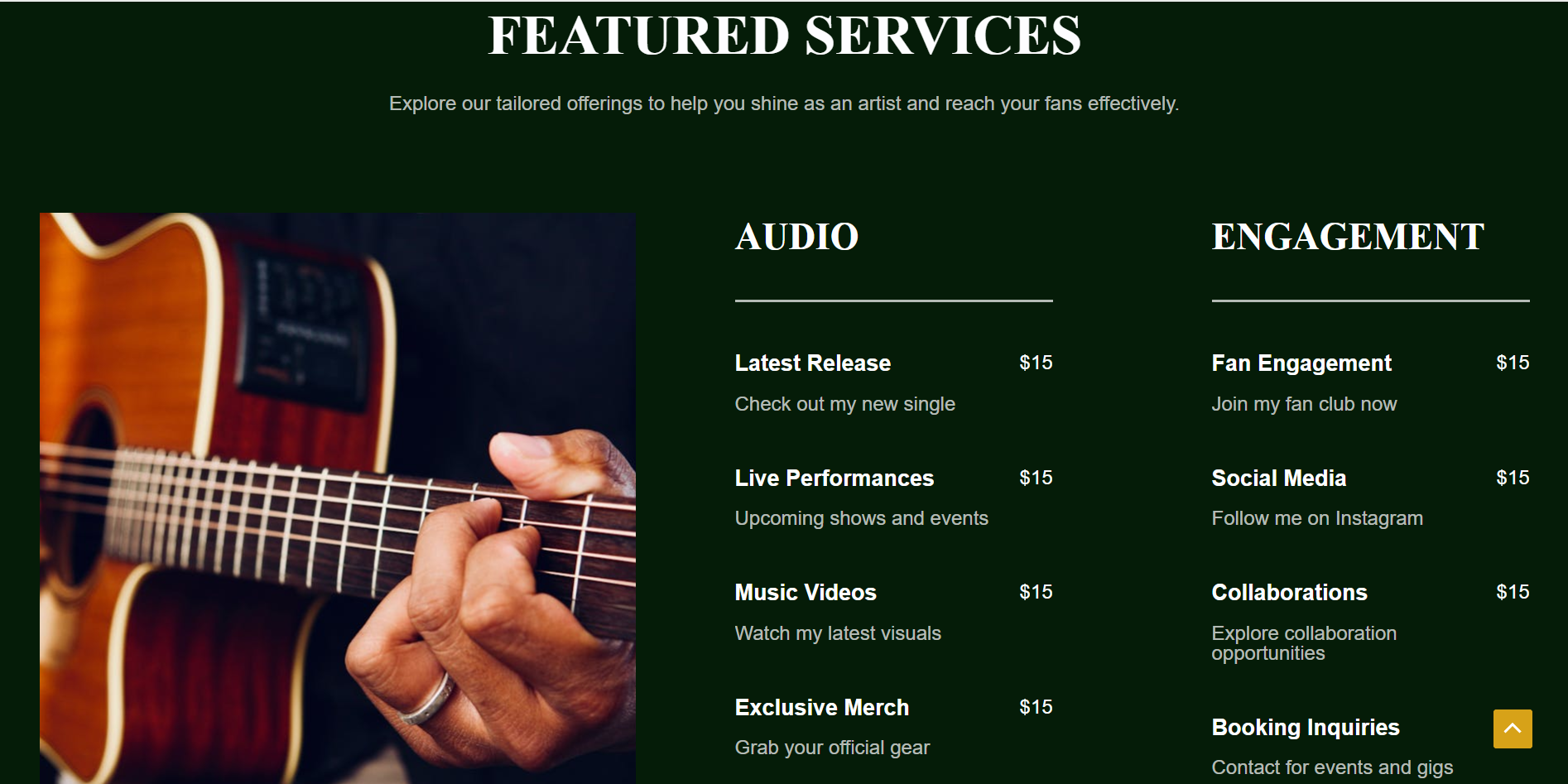 MusicianTemp1 - Image 4