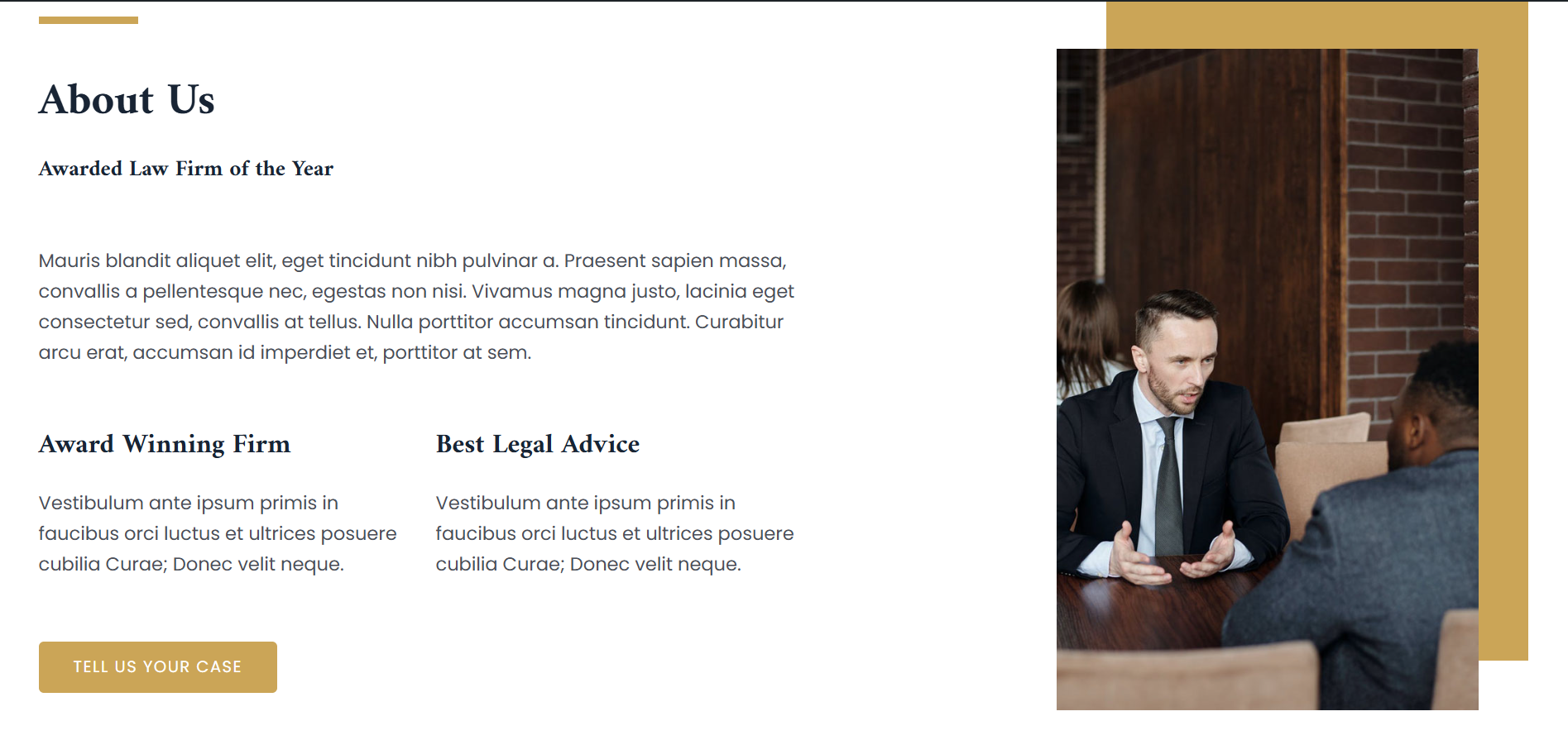 LawyerTemp2 - Image 3