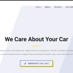CarCleaningTemp2