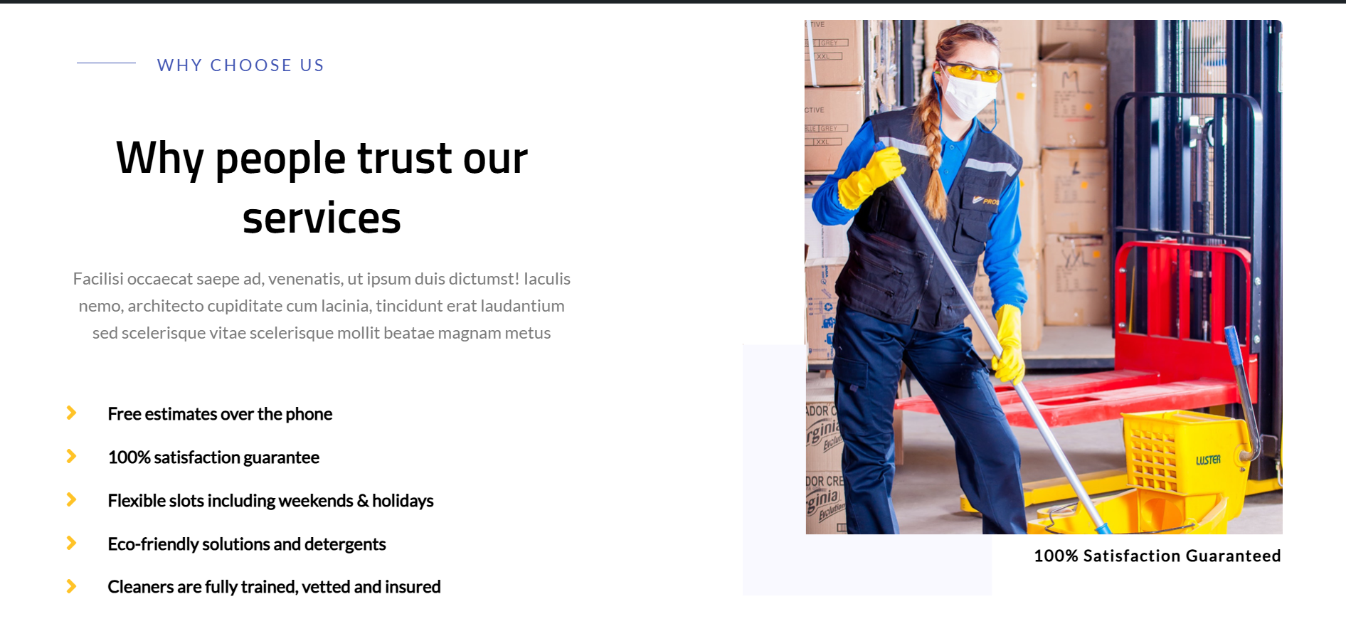 CleaningServicesTemp1 - Image 4